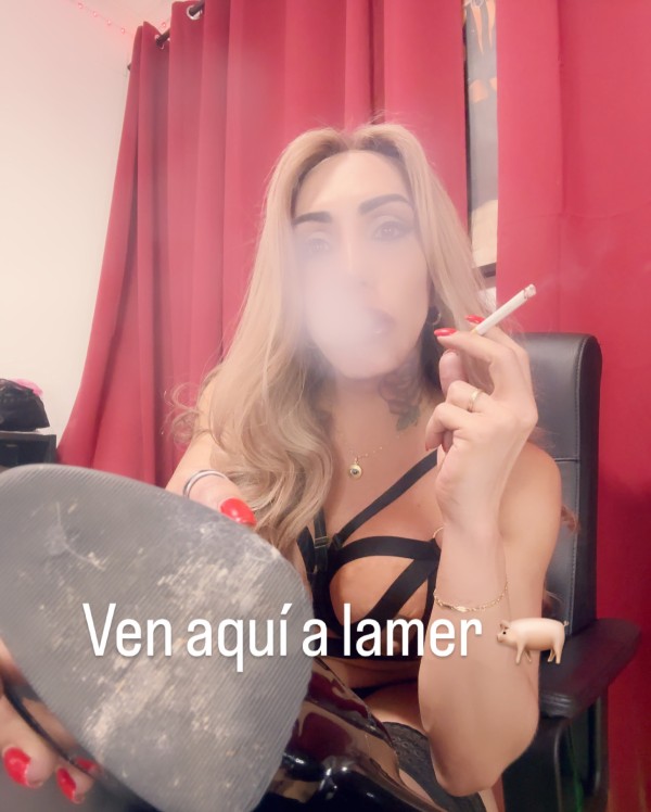 Disponible en MAllorca