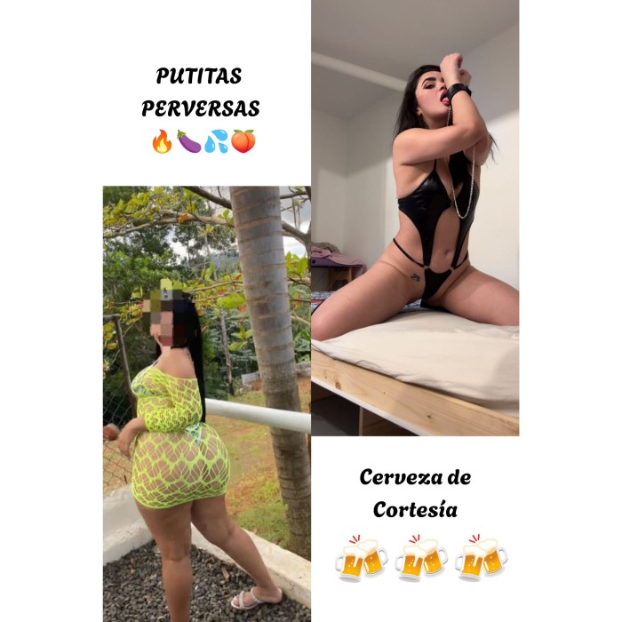 PERRAS PERVERTIDAS COMEN POLLAS