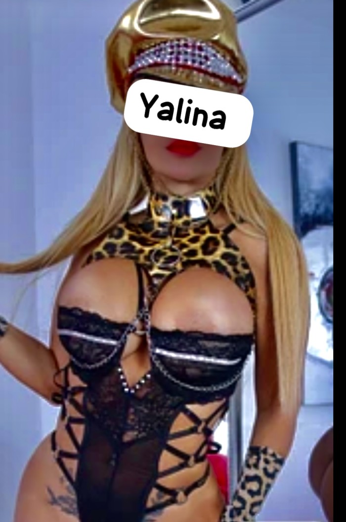 Lo mejor está aquí para caballeros exigentes