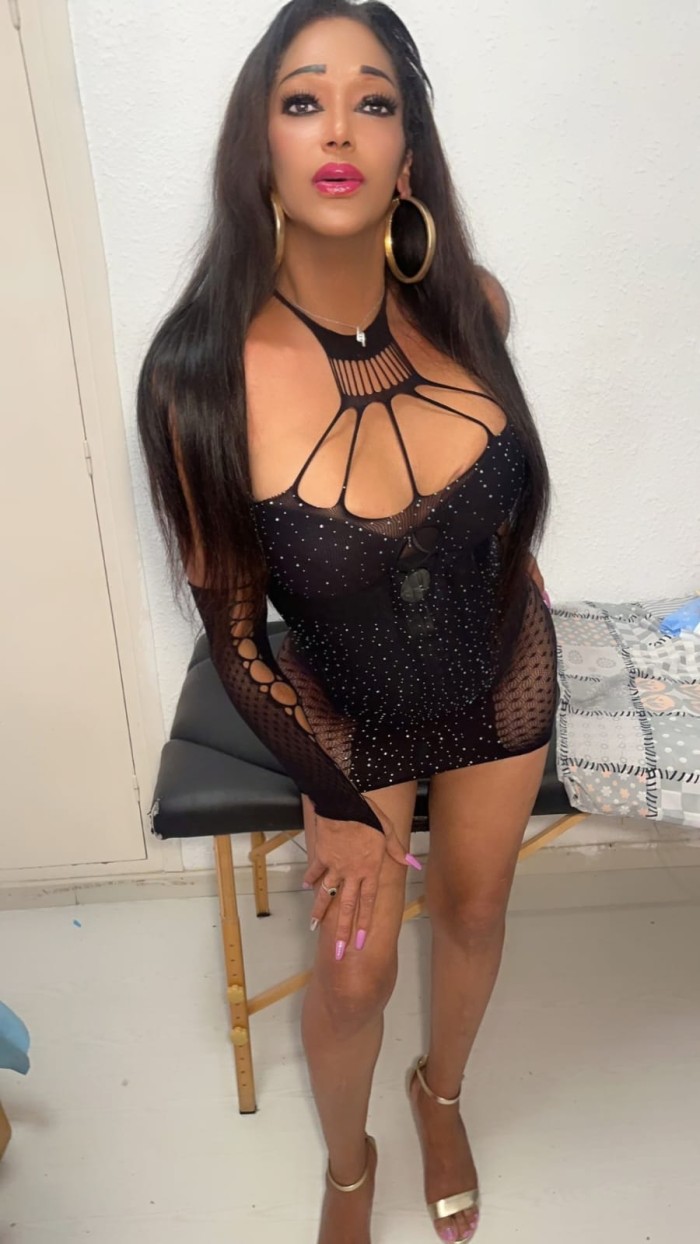 trans cubana