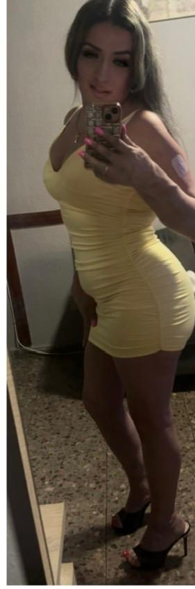 ivon trans colombiana experta en principiantes