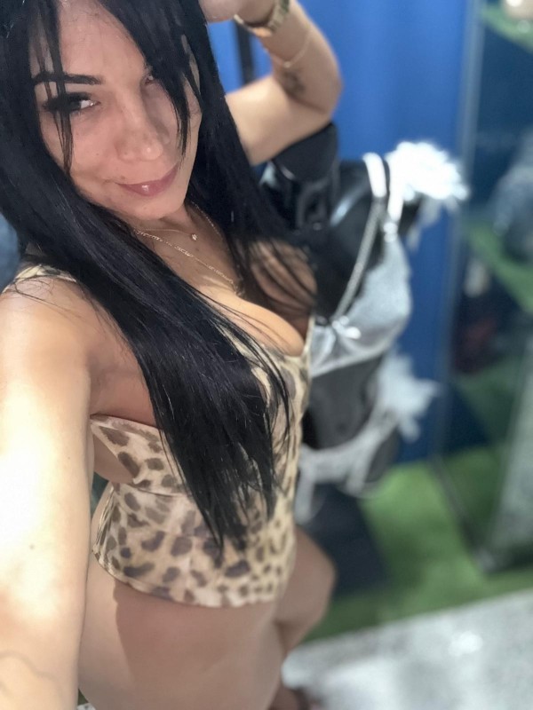 7 palmas