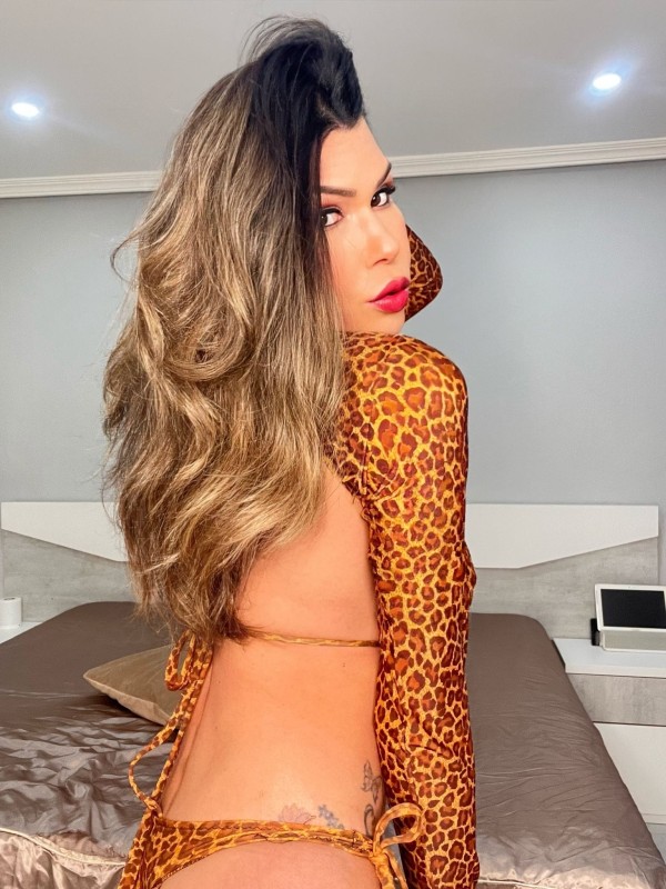 TRANS ACTIVA PASIVA LECHERA INDEPENDIENTE  NO AGENCIA . SAN BERNARDO