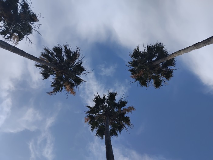 Andrea Masajes relajantes y eroticos