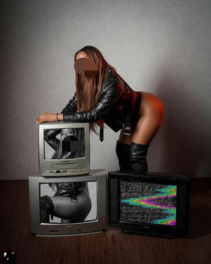 Novedad pamela