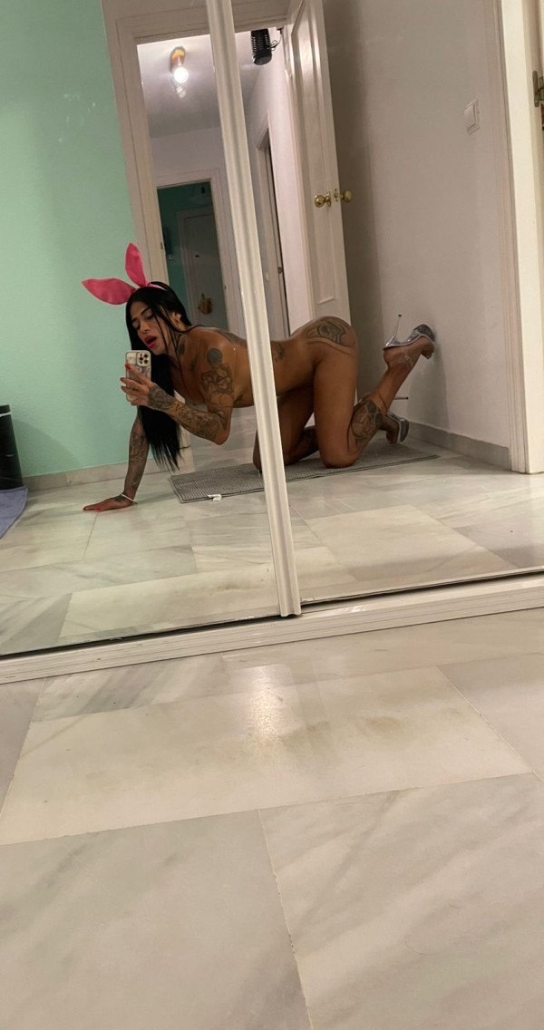 Hermosa y sensual trans