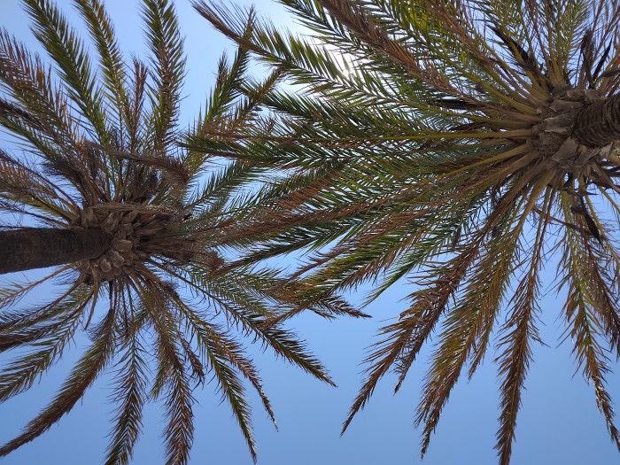 Andrea Masajes relajantes y eroticos