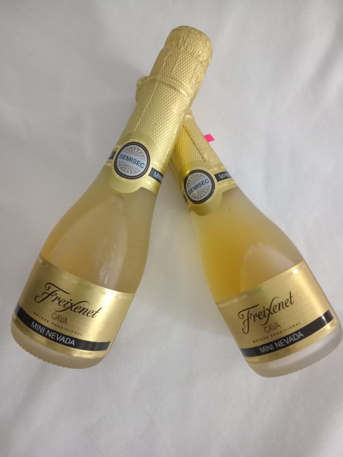 ALTOS INGRESOS CAMARERA AGUADULCE