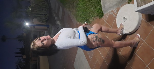 Canaria elegante