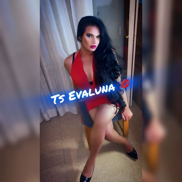 EVALUNA TRANS BISEX XL DOMINANTE XL en TORRASA