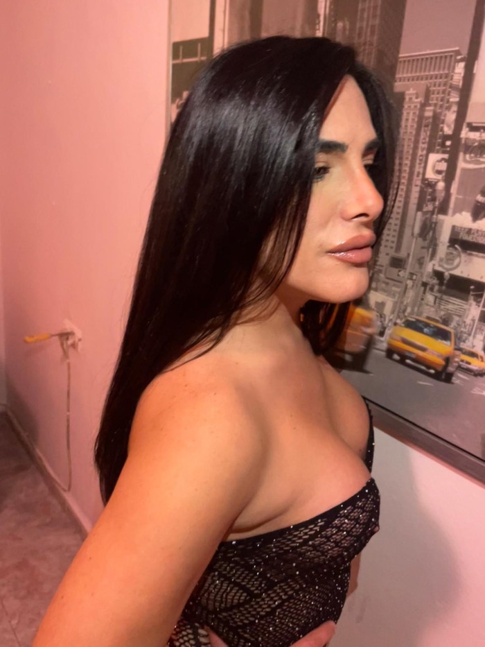 Trans.  En casita. Guapa.  Y. Fiestera