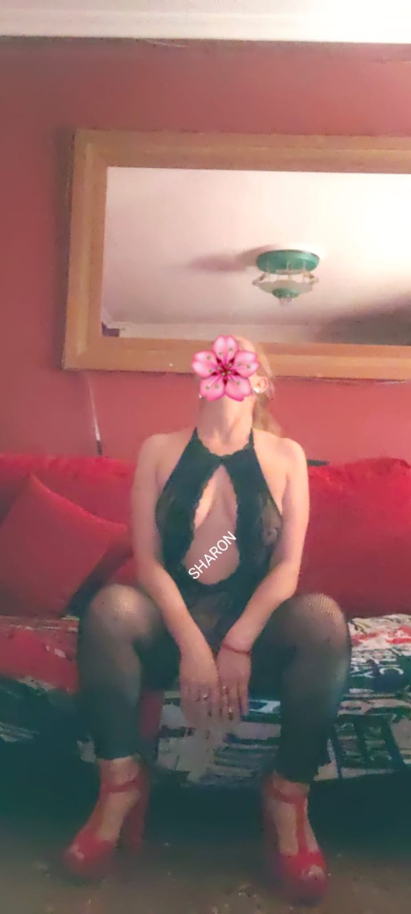 NOVEDAD, LA MAS SEXY DE LINARES, COÑITO VELLUDO, IMPLICADA, 24 H FIESTERA