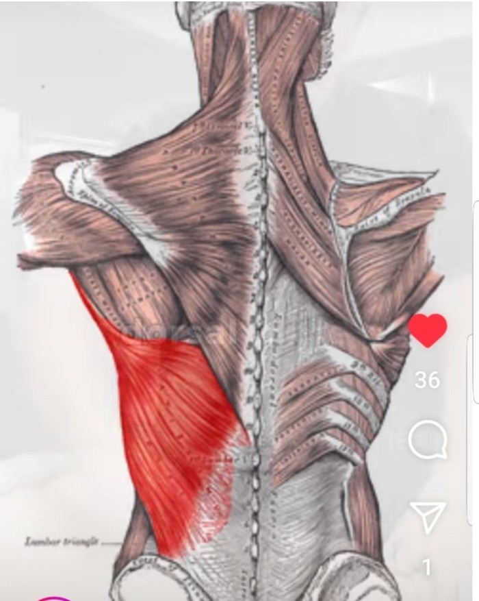 MASAJES ESPALDA Y PIERNAS TITULADA