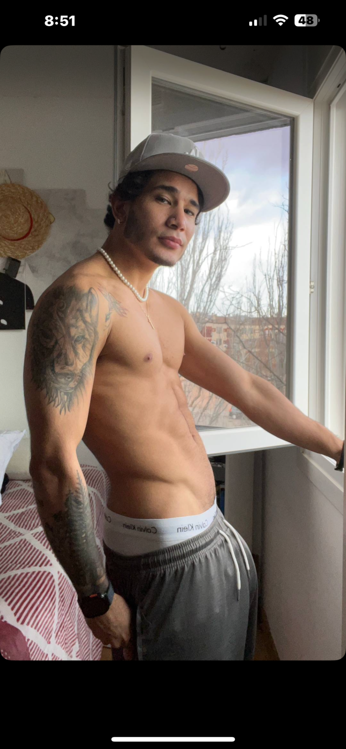 POLLON,LECHERO Y CAÑERO VENEZOLANO