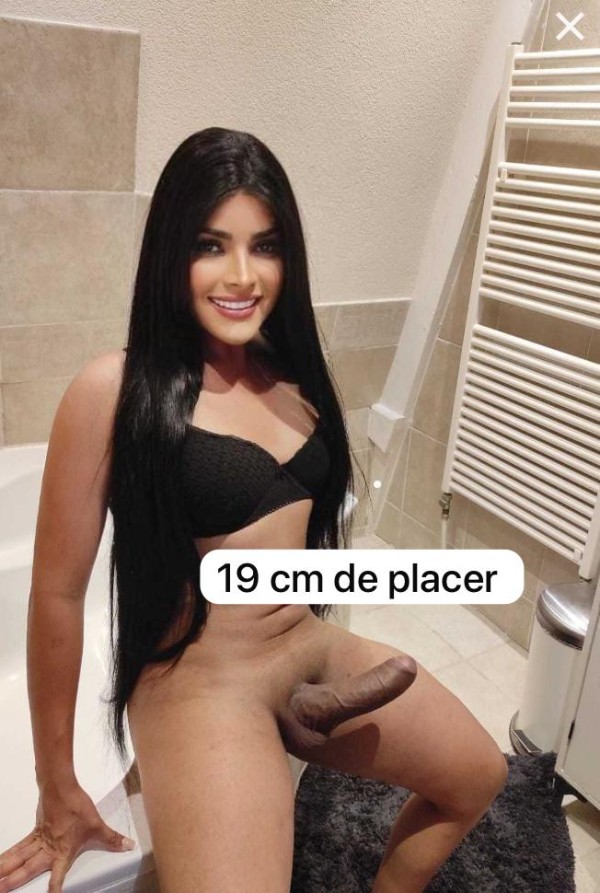 FIESTA MORBO LECHE Y PLACER