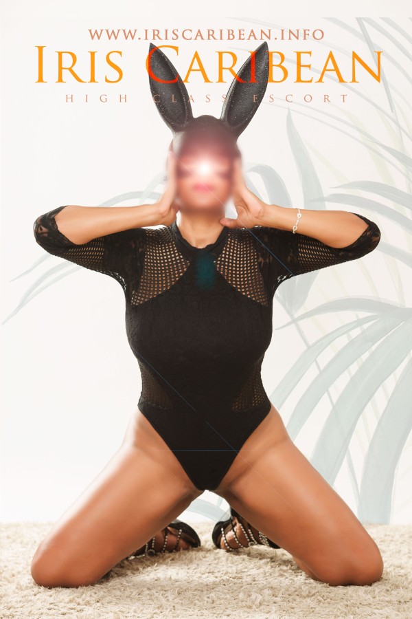 DE VUELTA EN SANTIAGO (SALGUEIRIÑOS DE ARRIBA) – IRIS EXUBERANTE