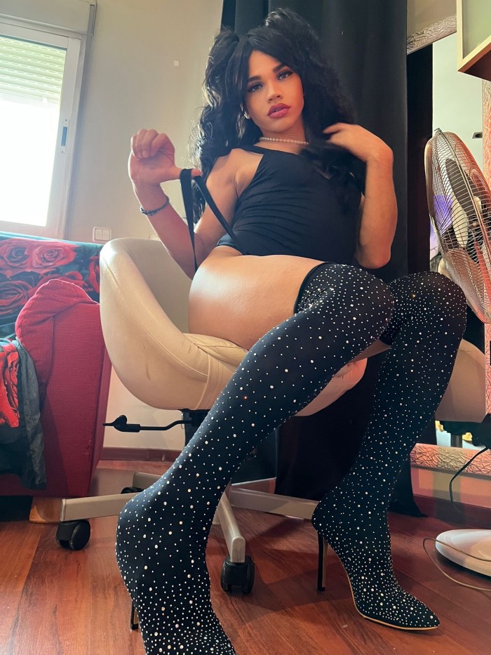 Novedad recién llegada