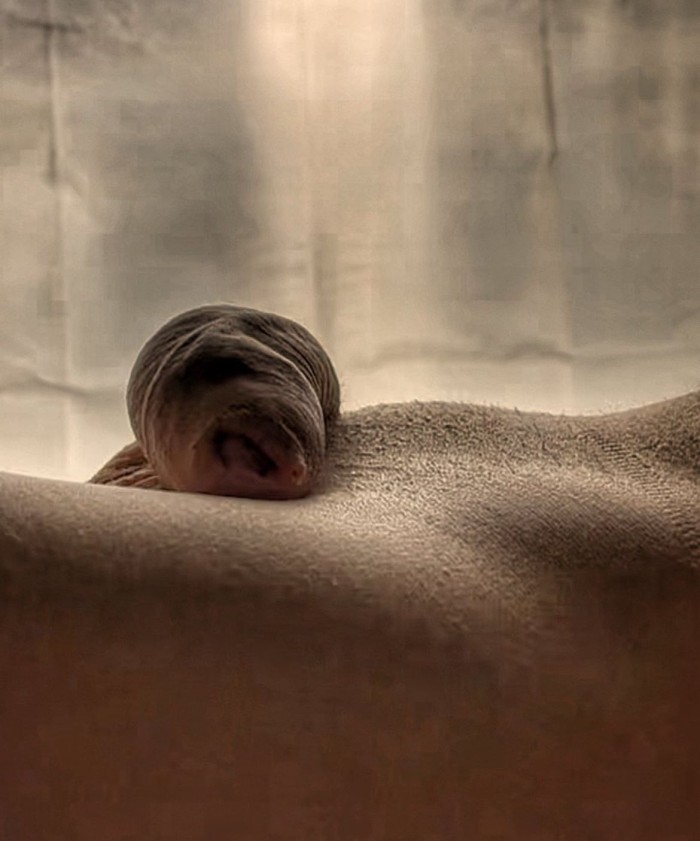 MASAJE CON UNA RICA CHUPADA DELICIOSA. BESO NEGRO