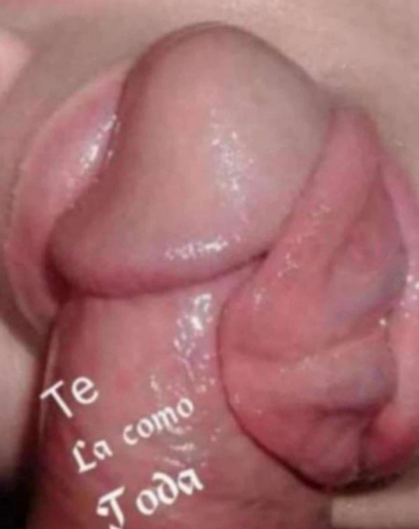 LA REINA DE LA FIESTA Y ÉL GRIEGO POR POCOS DÍAS 24 /7 ZONA ALCAMPO