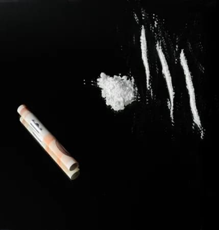 Tu perra de confianza ven y sácame la leche