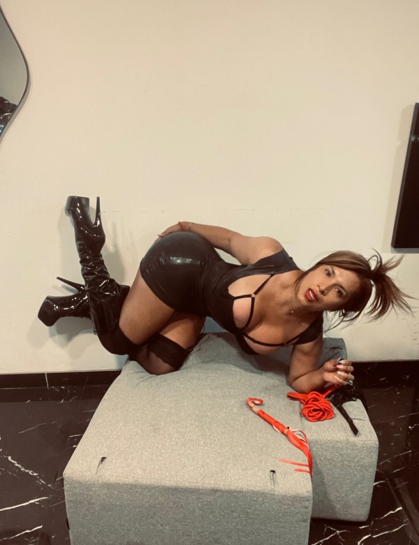 Zaragoza buscasama polla dura lechera y fiestera . Sin engaños