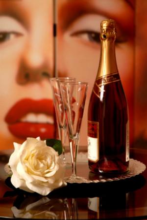 PLAZA INMEJORABLE PARA CHICA EDUCADA COMPLETA Y BUENA GENTE