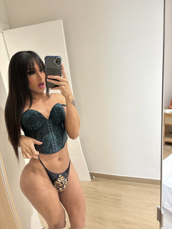 FUENGUIROLA CENTRO TRAGA LECHE PREÑADORA 21CM DOMINANTE LECHERA