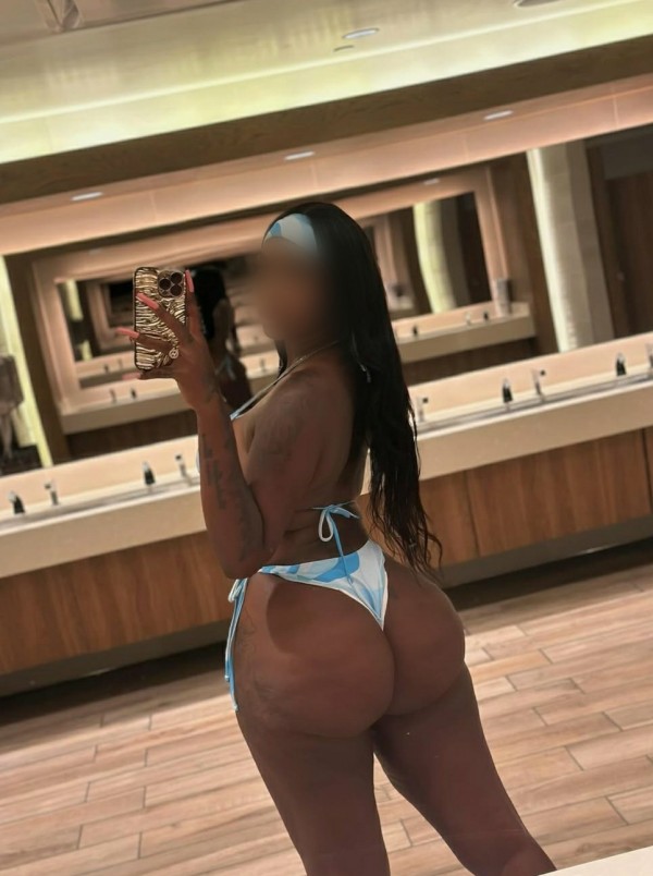 Vanessalanegrita