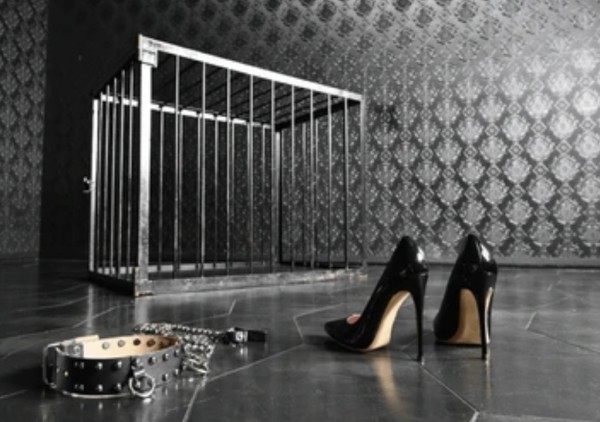 Jamás en tu vida encontrarás una ama mejor que yo!Vengan a mí fieles perros