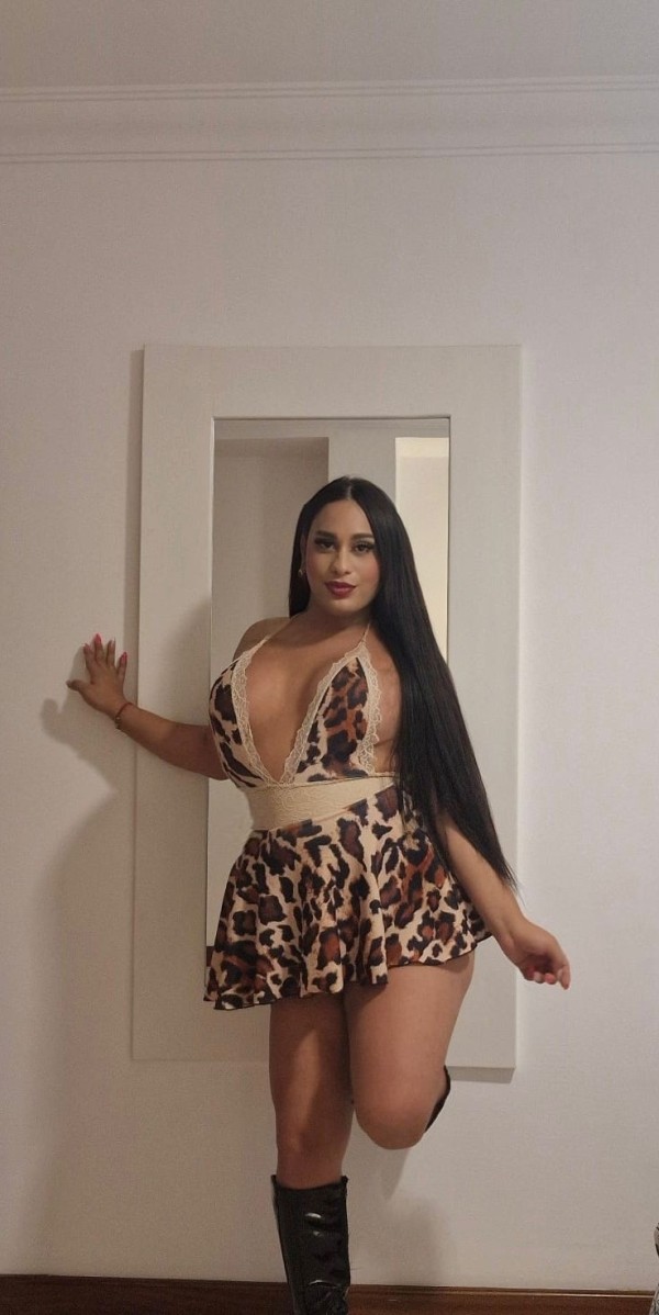 Hola mis amores. Soy koral chica trans encantadora