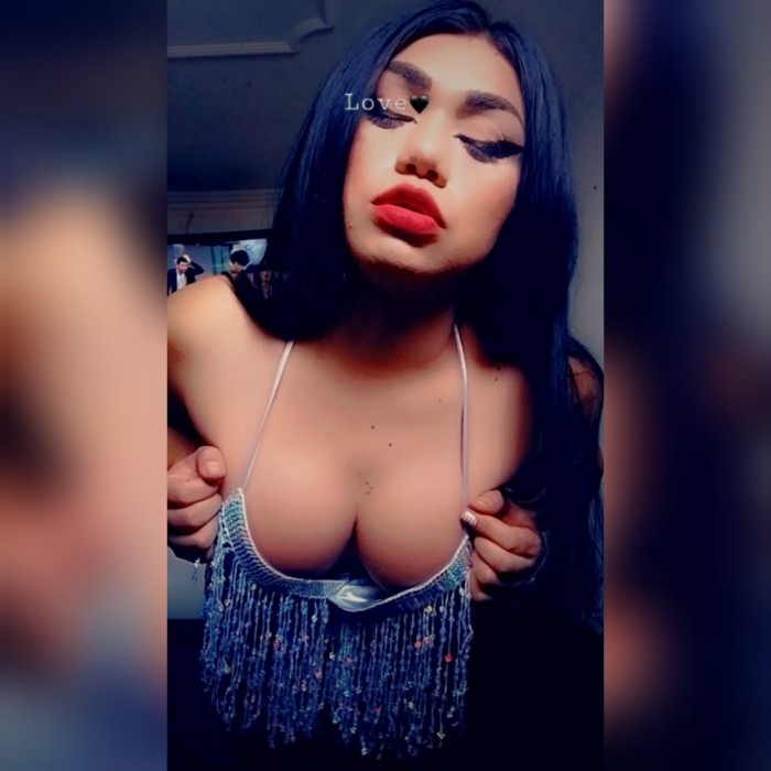 Perrita tragona lechera últimos días promoción