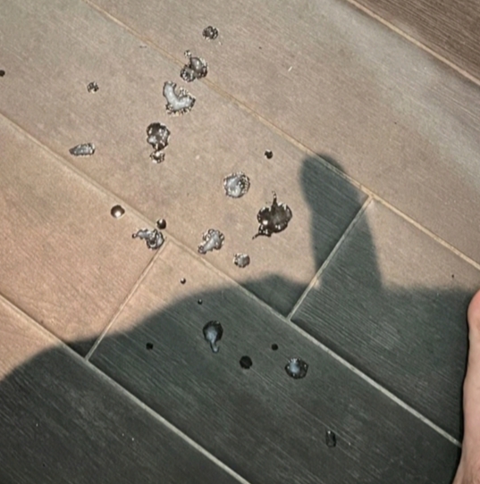 Travesti castellon tu mejor opción española