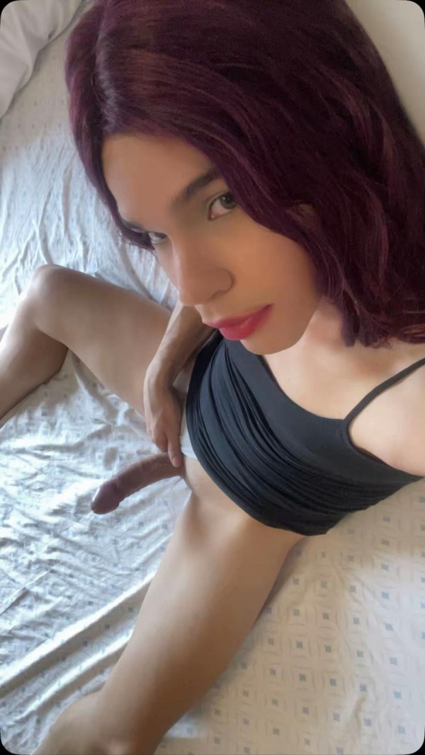 NOVEDAD RECIÉN LLEGANA TRAGONA TRANCA DE CABALLO