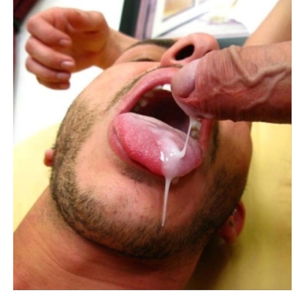 TRANS XXL. LOGROÑO TRATÓ DE NOVIO..M MUSA  BRASILEÑA. LA LECHERA E FIESTERA