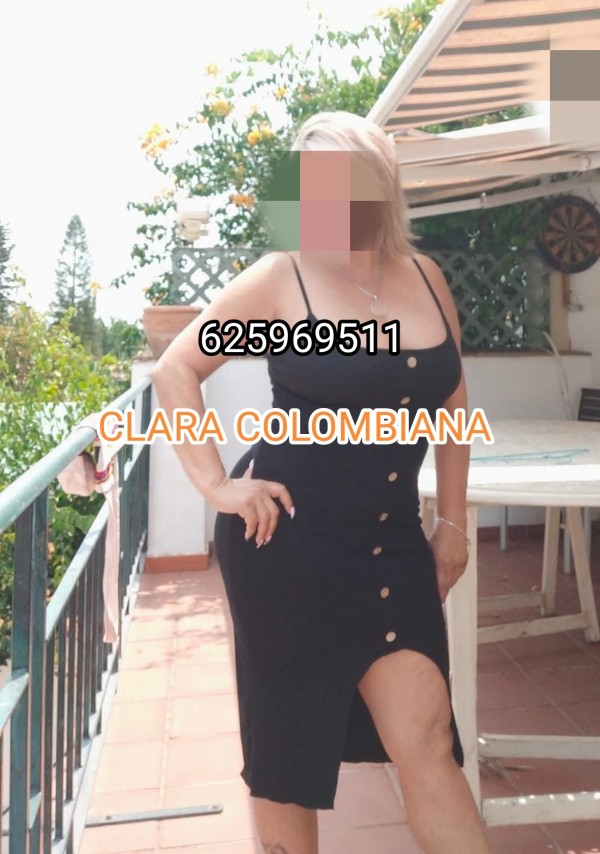 MORBOSA ELEGANTE CLARA COLOMBIANA MADURITA