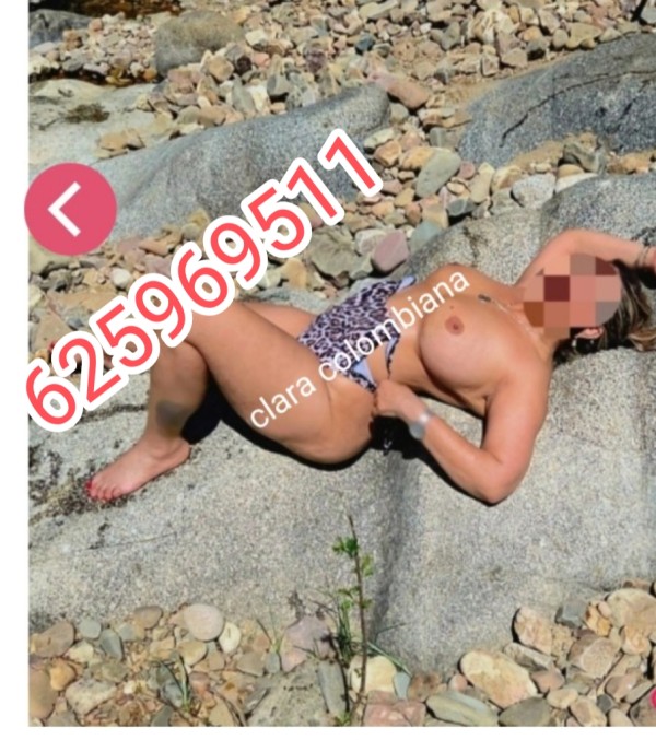 SALIDAS PALA REINA DEL FRANCÉS NATURAL CLARA COLOMBIANA MADURITA