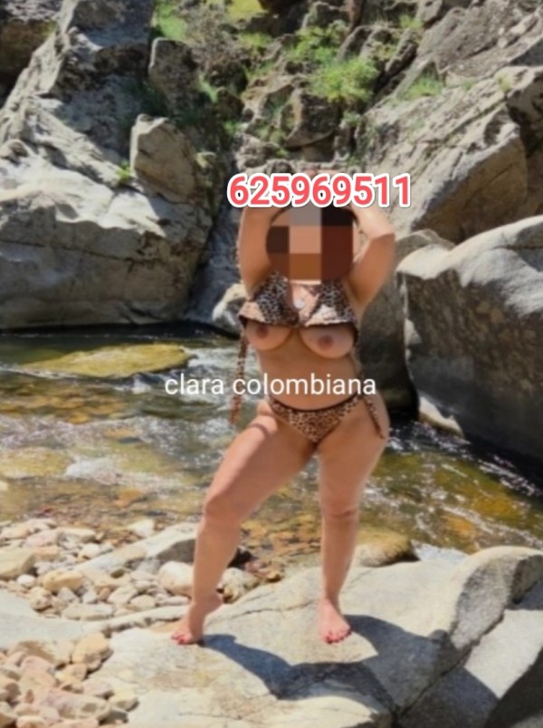 MORBOSA ELEGANTE CLARA COLOMBIANA MADURITA