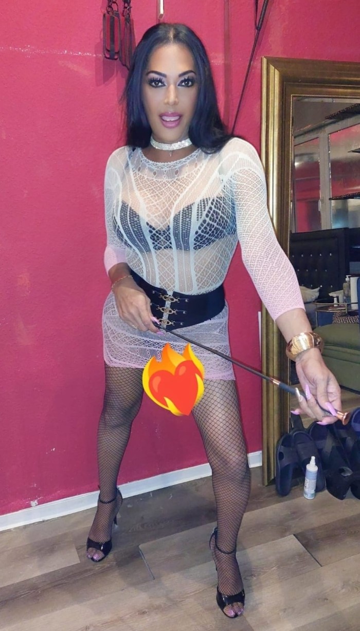 trans cubana