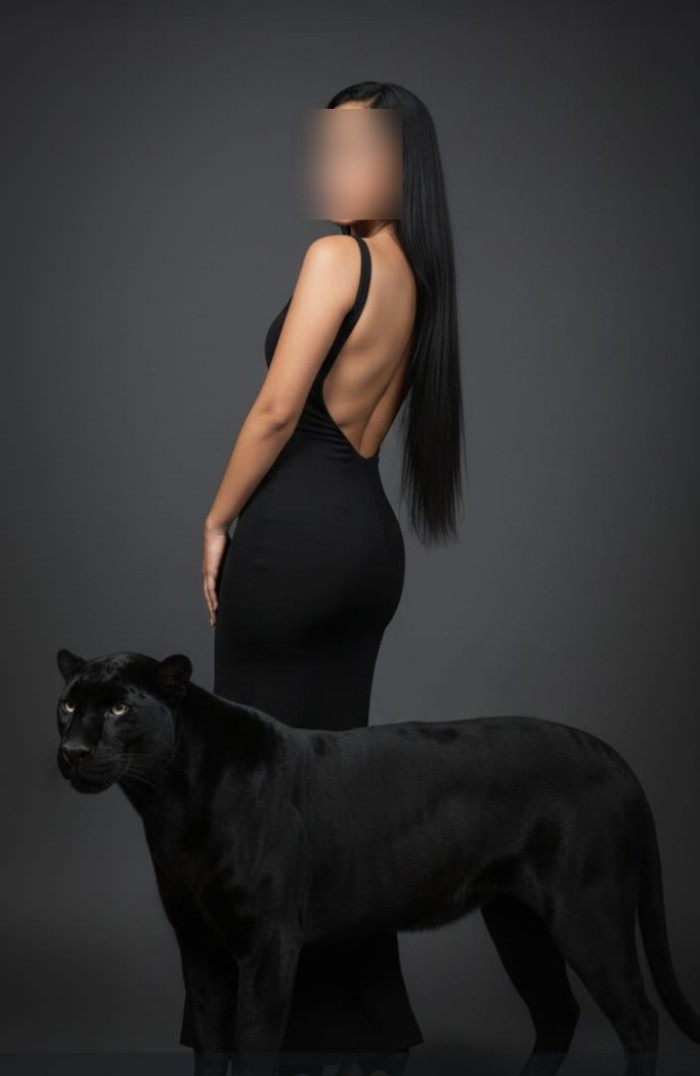 Elgant disceeta independiete llámame