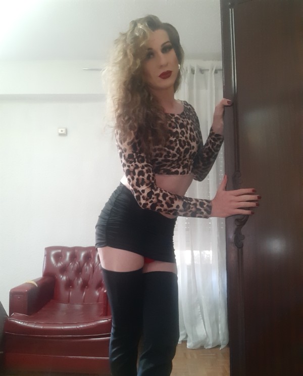 TRANS NOVEDAD IMPLÍCITA FIESTERA MORBOSA CARIÑOSA