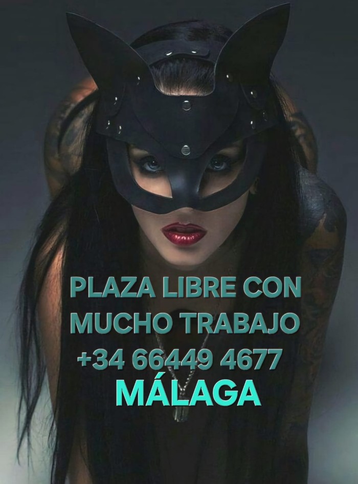 PLAZA LIBRE LA MEJOR CASA PARA TRABAJAR