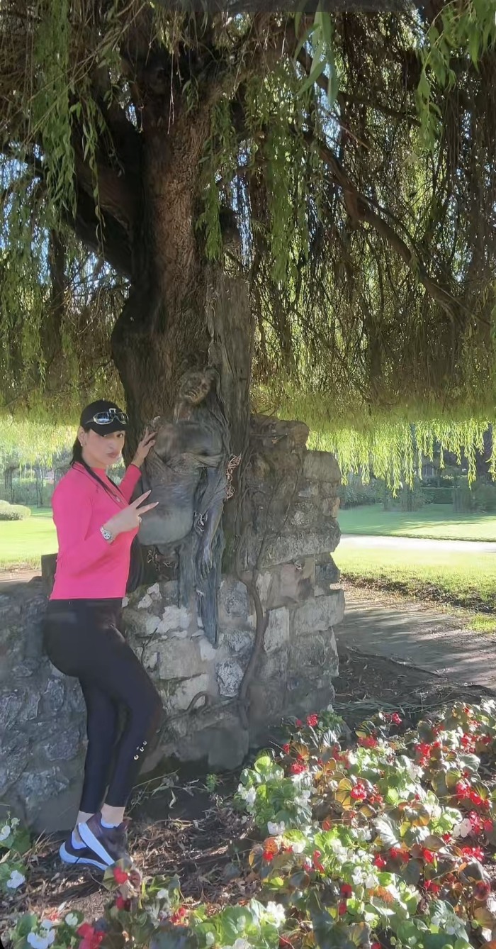 TU LOBA NOVEDAD EN TU CIUDAD DESEADA