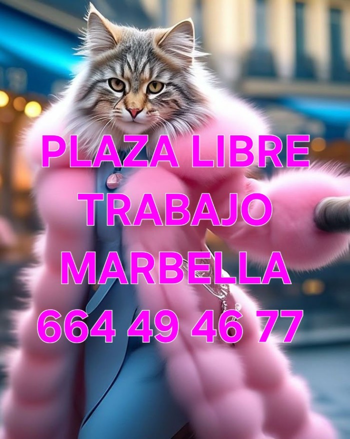 PLAZA LIBRE LA MEJOR CASA PARA TRABAJAR