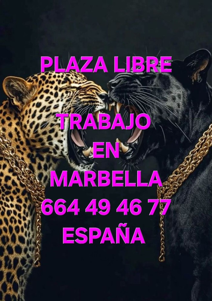 PLAZA LIBRE LA MEJOR CASA PARA TRABAJAR