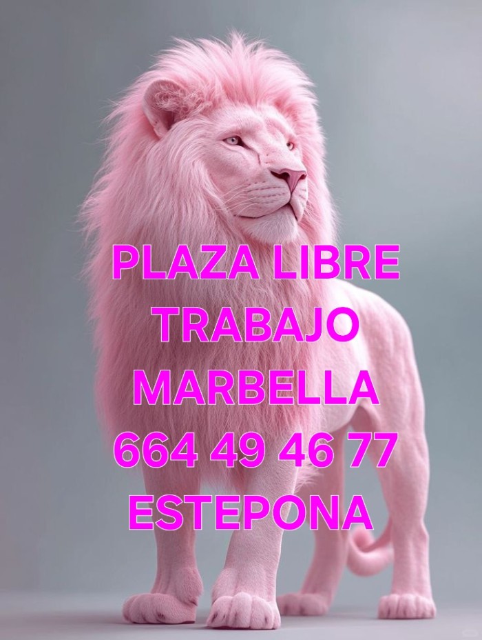PLAZA LIBRE LA MEJOR CASA PARA TRABAJAR