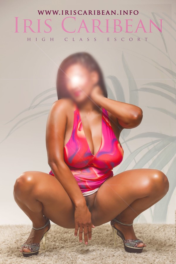 DE NUEVO EN SANTIAGO (SALGUEIRIÑOS ARRIBA) – IRIS CARIBEÑA