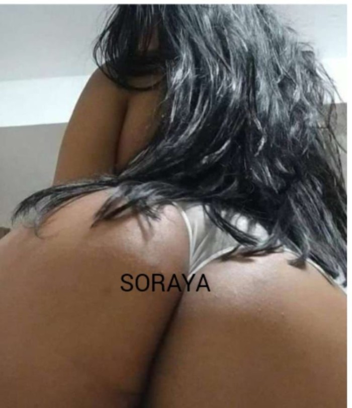 NOVEDAD SORAYA MULATA FIESTERA 24H