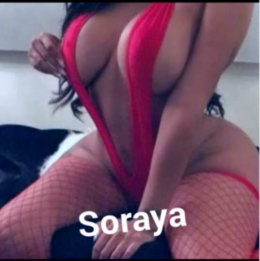 NOVEDAD SORAYA MULATA FIESTERA 24H
