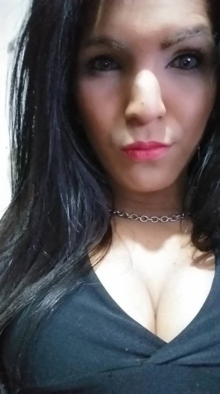 MORENA ARGENTINA LECHERA CAÑERA GUARRA