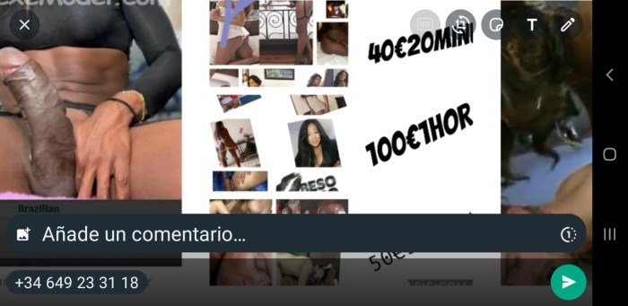 Trans negra Pitt XXL